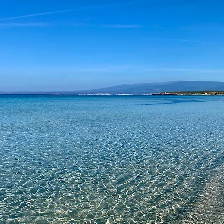 Tatil Evi Casa Franceschi